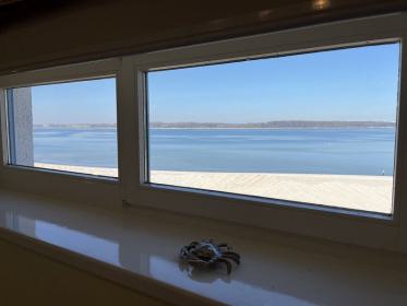 Appartement Flying Dutchman Bild 6